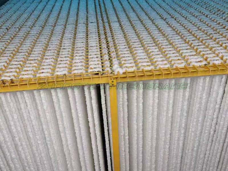 辨式生物填料現(xiàn)場(chǎng)（二）