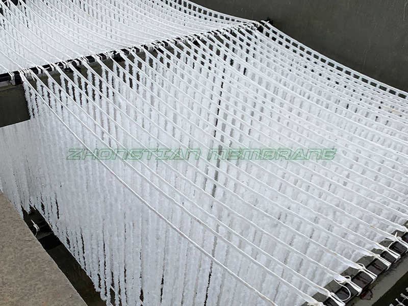 辨式生物填料現(xiàn)場（三）