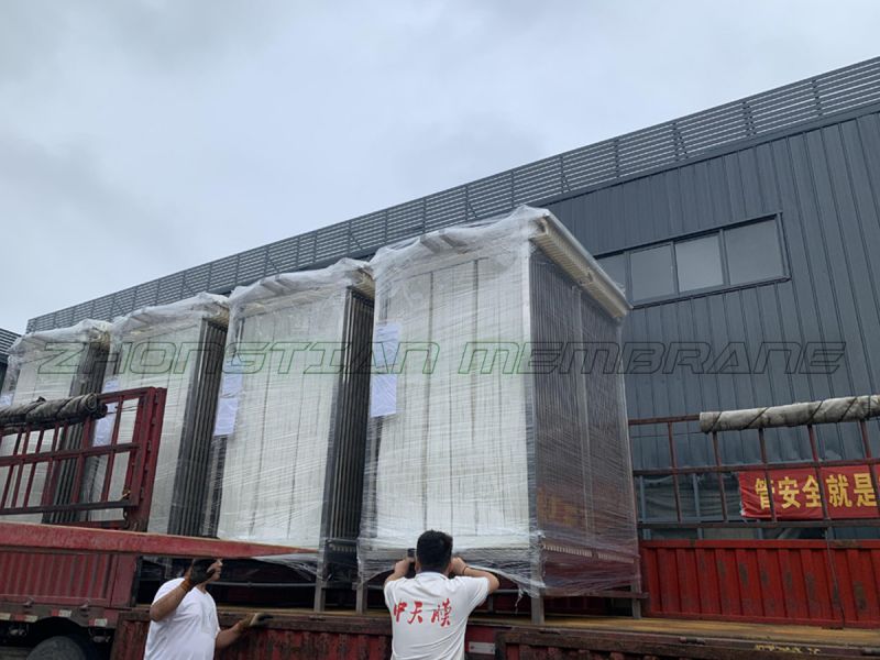 盛夏七月，不抵吾心！