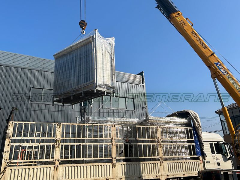 疫情肆虐，我們砥礪前行。