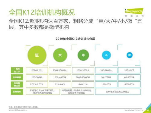 艾瑞咨詢 2019年中國K12教育行業(yè)研究報告——教育咨詢服務分析