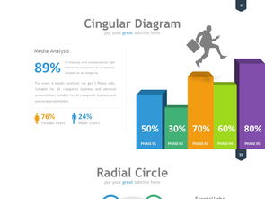 企業(yè)管理咨詢 基于商業(yè)分析矩陣的成功計劃測試項目分析